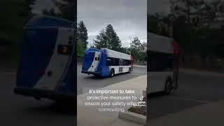 Public Transportation Safety