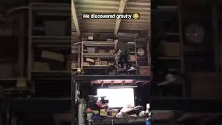 Gravity #shorts #funny #meme #mrmeme