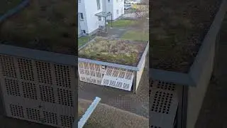 Потепление. 26.01.26