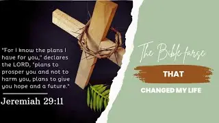 The Bible Verse That Changed My Life Forever (Jeremiah 29:11) #scripturechallenge #shorts #trending