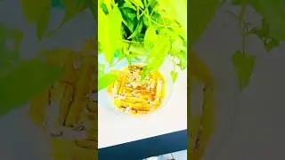 ජැපනීස් චීස් කේක් කමුද?🇱🇰Japanese viral cheese cake #shorts #viralvideo ​#trending @PrincecookSadi