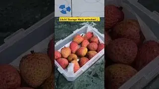 Now You Can Store Litchi For a Long Time #hack #trending #ytshorts #litchi #mrssharda