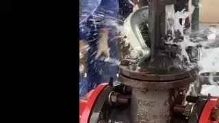Valve packing box online leak sealing with G Gallan