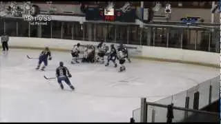 Hull Stingrays V Sheffield Steelers 26-9-2012