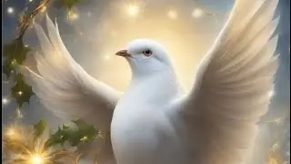 1 февраля 2024 г.