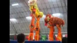Thailand lion dance troupe's special performance at 