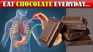 What happens if you eat chocolate everyday | How to cook