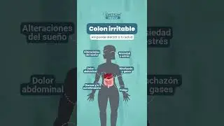 ⚠️ COLON IRRITABLE: no es solo dolor de barriga