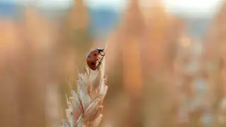 Discover BA Environmental Humanities at the University of Exeter