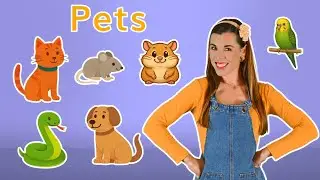 Pets Song