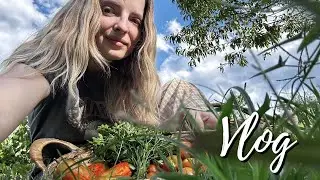 godi&scaron;nji tro&scaron;imo na radove u kući 😲🛠️ / VLOG 8 2025