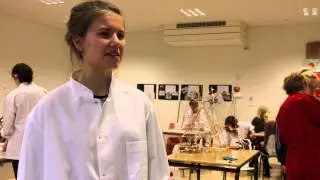 Det at v&aelig;re efterskoleelev