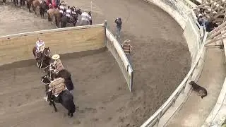 RODEO PROVINCIAL ESPECIAL EN SERIE LIBRES CLUB LOS VILOS, 14 Y 15  DE JUNIO 2025 SERIE CAMPEONES.