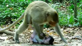 That is b@d.. Aunt Jonna n/ot properly carried niece Jiva bringing to escape from sister Jazzy.