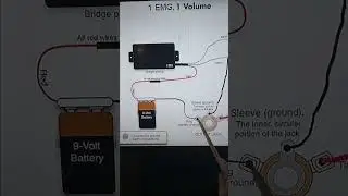 Как подключить один звукосниматель EMG и один регулятор громкости | Установка EMG 81 на Guild Pol...