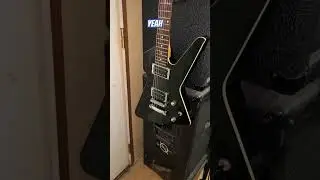 Новый день с гитарой!!! #ibanez #destroyer #newguitarday #music #metalmusic