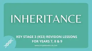 Inheritance Explained (DNA, Chromosones, Genes) but why we are all different - (Years 7, 8 & 9)