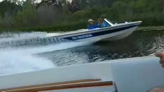 Just a pair of 2001 SN's on the Ocklawaha River