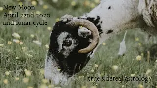 New Moon - April 22nd, 2020 - and lunar cycle - true sidereal astrology