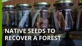 Hmong reforestation successes and challenges in Ban Mae Sa Mai, Thailand