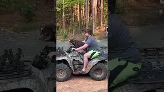 LETS RIDE! #offgrid #ranch #farm #family #dog #atv #fun #adventure #lifestyle #bulldogs #shorts