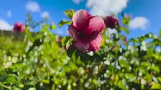 Visiting Hotel Atitlan, Lake Atitlan, Guatemala in December 2021