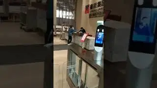 Face machine swing turnstile video