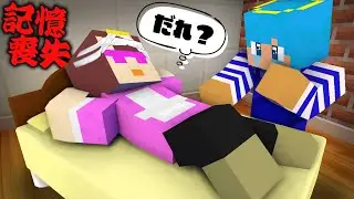 おかんが記憶喪失になった！思い出させて！【まいくら / マインクラフト】