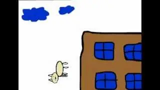 Cat Falls off Building