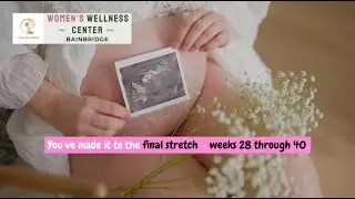 3rd Trimester Pregnancy in 3D 🤰 | Baby Growth, Birth Prep & Final Weeks 🍼
