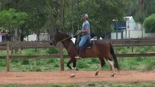 IVANKA DO MALIBU GOI&Aacute;S