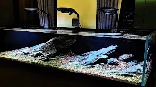 Best Freshwater Natural Aquarium Setup with sand and stone Build a Biotope at home #aquascape 