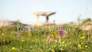 Solstice, Wonder