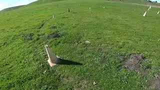2 Lapses at 600 and 300 ft lunch points at Ed Levin Park.