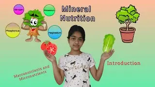 Mineral Nutrition - Introduction / Easy ways to remember micro and macro nutrients