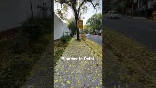 One summer day in Delhi, June. #delhi #summer #vlog