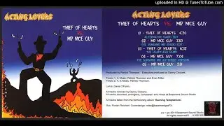Acting Lovers &ndash; Mr. Nice Guy (The Sunshine Mix Extended Version &ndash; 2011)