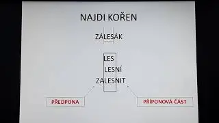 Stavba slova