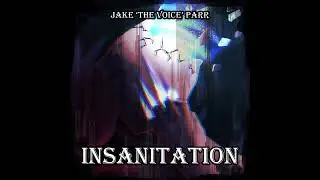 Bad Dream #1 - Behind The Wheel of a Speeding Car ['Insanitation']