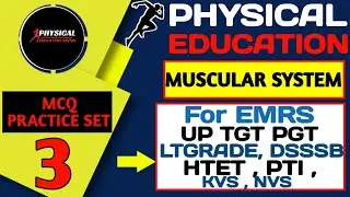Muscular System MCQs||Physical Education MCQs|| Physical Education Questions for uptgt ltgrade dsssb
