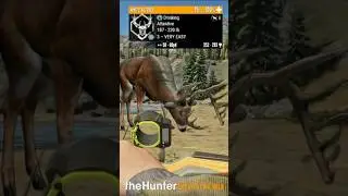 INSANE RECURVE BOW KILL!!! The Hunter: Call of the Wild