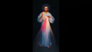 Vatican 2: Lumen Gentium (Audiobook)