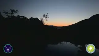 Loch Lomond & Trossachs National Park: Bats & Woodland UV Night Walk | Relax & learn about nature
