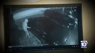 Police investigating luxury car thefts in Broward County