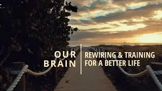 Rewiring and Training our Brain for a Better Life  #brainrewiring #empoweryourstory