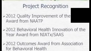 The BIG Hospital Initiative SBIRT Webinar 1/23/13