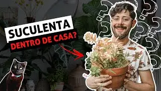 RESPONDENDO DÚVIDAS SOBRE CULTIVO DE PLANTAS.