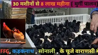 Secrets Revealed about Hatchery [Egg Incubators] मुर्गी पालन कैसे करे। #poultry #poultryfarming 