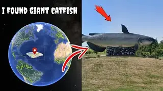 i found giant strange catfish on Google map and google earth #map #earth #viral #creepy #shorts