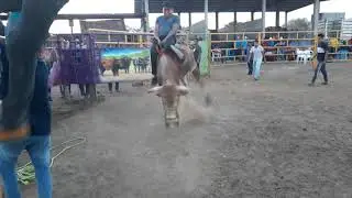 A puro valor mexicano